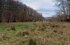 Resita, Teren Drept Intravilan, Langa Prau si Drum, Parcelabil, 4500 Mp., 15 Eur - 15