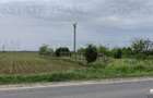 Teren intravilan - vanzare - centura - Cazasu - Braila - 2