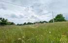 Teren Intravilan 3093 mp-ideal case/cabane/pensiune-Bistrita Bargaului - 2