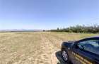 Nicolint, 2 Terenuri Extravilane, Arabil, 1.45 Hectare - 15
