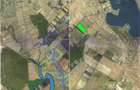 💎 15-50 ha, parcelat, Mihailesti Giurgiu - 2