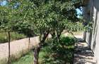 🏡 Casă de vânzare – Lunca Cetățuii, comuna Ciurea - 3