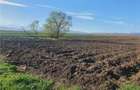 Teren extravilan 4.500- max.18.300mp in comuna Rosia (17 km de Sibiu) - 4