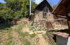 Casa din lemn, zona muntoasa, cu rau, la cheie, Ribita, Hunedoara - 44