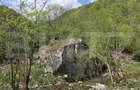 Cabana de poveste în Râmeț | 2000 mp teren + râu pe proprietate | ideală pent - 13