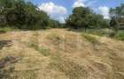 Teren intravilan 3.200 mp | Budacu de Jos | Deschidere la 2 drumuri asfaltate - 5