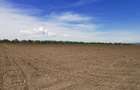 TEREN AGRICOL DE VANZARE - BOD - BRASOV 4,5 HA - 2