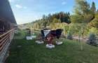 Cabana din lemn rotund, 2 camere, 140 mp, teren 2800 mp, Paltinoasa - 18