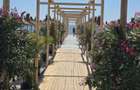 Mamaia Nord/ Promenadă Plaja Signature Apartament 2 camere Modern - 2