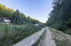 Teren intravilan de vanzare in padure Cisnadioara - 13