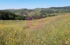 Teren intravilan de vanzare in Breaza (dezvoltare imobiliara) - 6
