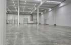 Spatiu Industrial - 5000 mp - Logistica - Depozitare - Distributie - 8
