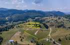 Teren cu panorama unica si incredibila in Sirnea - 4
