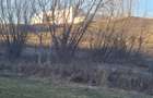 Teren intravilan, 1253 mp ,utilitati,Borhanci-Sopor - 4