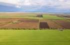 Teren de 40 Hectare pe E671, Arad - 3