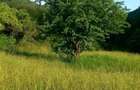 Vanzare teren intravilan 1540 mp in Faget - zona Sf Ion