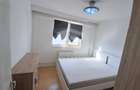Teiul Doamnei- Apartament 2 camere decomandat | Etaj 10/10 - 3