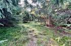 Teren de vanzare - 11200 mp, extravilan - Zona Castelnor - 3