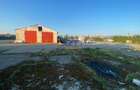 Teren intravilan 21. 700 mp, ideal dezvoltare imobiliara - 8
