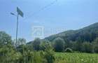 Teren Intravilan-Ideal Investitie-Podis,Margineni,Bacau - 3