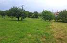 Teren intravilat| Zona rezidentila 1156 mp-TURNISOR - 4