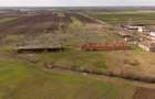 Fermă cu teren intravilan de 35000 mp în Mișca - 13