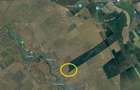 Vanzare teren Frumusani, 7.961 mp, D: 175 m, langa padure, comision 0% - 4