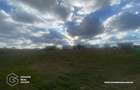 Teren 10.740 mp cu 150 ml front stradal, zona Giroc, Timisoara - 3