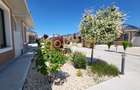DIRECT DEZVOLTATOR/COMISION 0/SUPERB/VILA INDIVIDUALA/COMPLEX INCHIS - 1