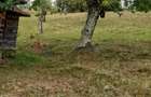 Teren intravilan de vanzare, 26.000 mp, Bulz, Bihor - 2