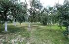TEREN INTRAVILAN 8000 MP | PARTIAL IMPREJMUIT | PESTERE | BIHOR | - 4