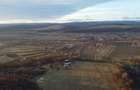 Pădure 268 ha in jud. Bacau, teren, constructii