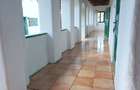 Casă tradițională cu anexe și teren generos – Satul Revetiș, județul Arad - 8