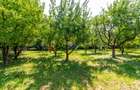 Casă/Vila tip conac, cu anexe si livada de vânzare Valenii de Munte - 9