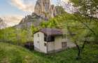 Cabana de poveste în Râmeț | 2000 mp teren + râu pe proprietate | ideală pent - 2