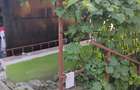 Cînd casă cu etaj in zonă semicentrală  - 3