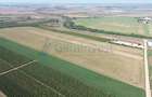 Teren intravilan de vanzare, 66400 mp, langa Oradea, Bihor - 4