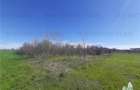 Teren 4000 mp + casa demolabila in Bragadiru/Varteju (Magurele) - 4