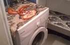 Decebal | 2 Camere | Metrou | AC | Pet Friendly Cats | 2 Balcoane - 7