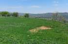 Teren Campina platoul Muscel - 7