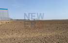 Teren industrial de vanzare 13.999 mp zona Eli Park Buftea - 4