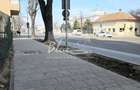 Teren 739 mp cu vizibilitate excelentă la Bulevardul Mamaia - 3