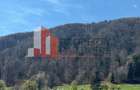 Terenuri Bran - Predelut  Priveliște către Bucegi și Postăvaru - 14