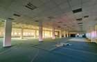 Spatiu show room, 1500 mp , parcare , Calea Lugojului - 3
