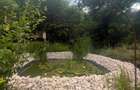 Vânzare Proprietate de excepție cu lac amenajat și pădure proprie | Gura Ocniței - 7