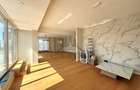 Penthouse cu vedere spectaculoasa catre Lac - 3