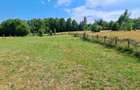 Bughea de Jos-Imparatia Mlacilor, teren de vanzare, 3000 mp, 27 ml deschidere - 3