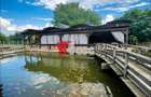 Oportunitate unică de investiție – Complex piscicol cu restaurant - 10