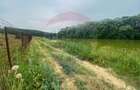 Teren Intravilan de vanzare 3778 mp Branesti Strada Violetelor - 9