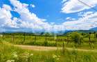 PANORAMA POIANA MĂRULUI | Teren cu potențial de dezvoltare zoan After Hills - 4